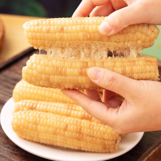 菜头商城 玉巴掌 西双版纳软糯玉米 每箱2公斤 商品图2