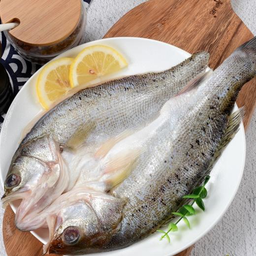大海主义开背鲈鱼450g/条 商品图1