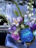 「蓝色星河」牡丹菊大飞燕郁金香混搭花束（需提前一天预定） 商品缩略图2