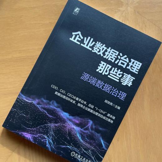 企业数据治理那些事 源端数据治理 商品图1