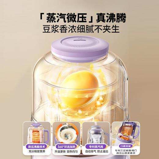 大宇可拆洗破壁豆浆机 家用多功能全自动小型料理非静音低噪2024新 商品图2