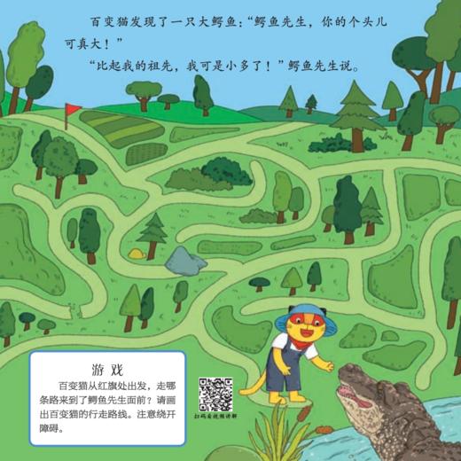 《幼儿智力开发画报》12期（共24本）征订 商品图11