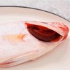 大眼鸡鱼 | 深海野生海钓海鲜 商品缩略图3