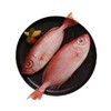 大眼鸡鱼 | 深海野生海钓海鲜 商品缩略图0