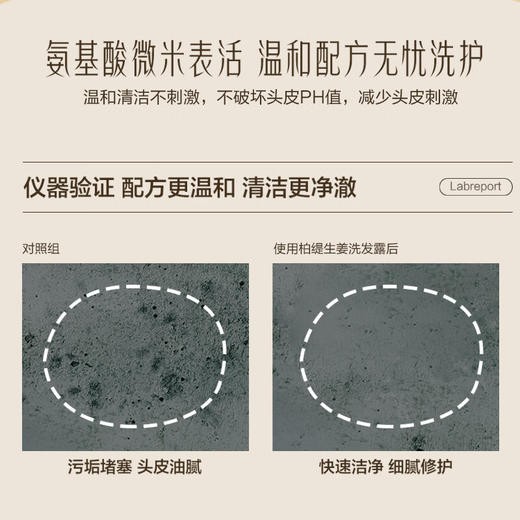 送2包试用体验装【柏缇POTE  生姜养护洗发水】500ML一瓶，萃取天然姜汁，强韧发丝，臻养护发！ 商品图4