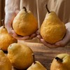 山东威海丑梨|越丑越好吃！冰淇淋般顺滑软糯，香甜如蜜 商品缩略图6