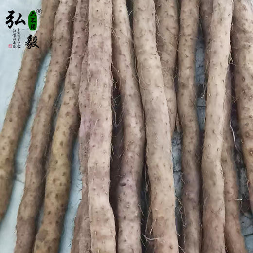 【弘毅六不用生态农场】六不用 温县铁棍山药  5斤/份 商品图0