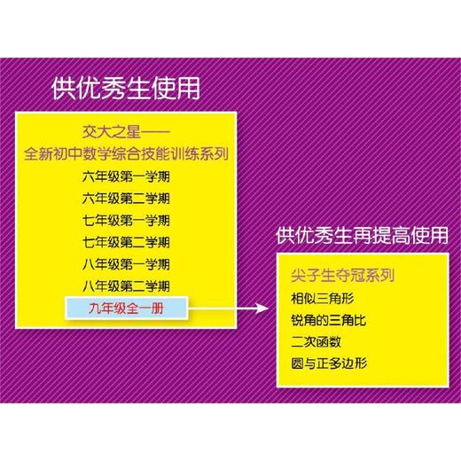 全新初中数学综合技能训练 商品图2