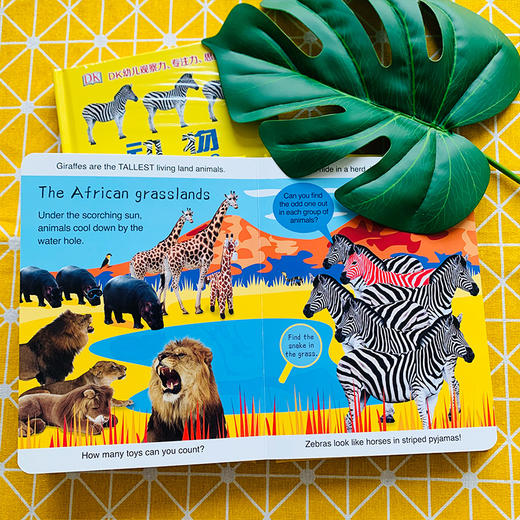 DK幼儿观察力、注意力、思维力系列《动物》汉英对照 商品图6