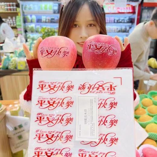 【上新】圣诞节贴纸 商品图1