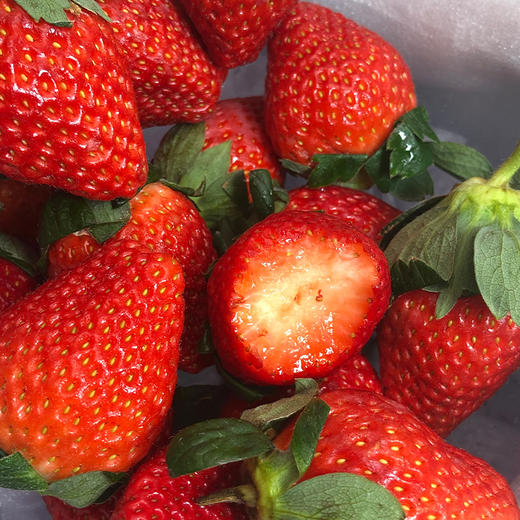 攀枝花露天草莓 （四川） 商品图1