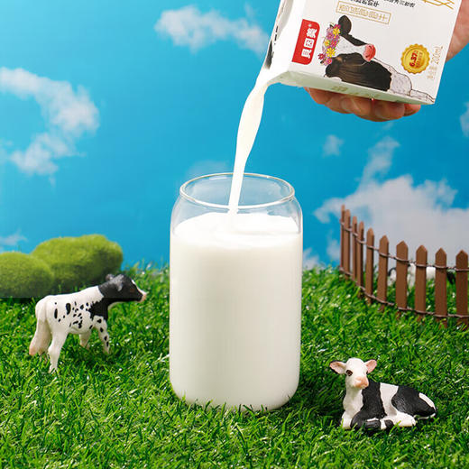 贝因美 雪域跑跑牛 家庭版3箱 200ml*10盒/箱 商品图3