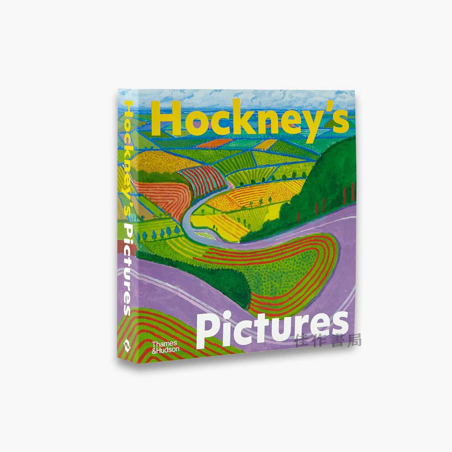 [最新版]大卫·霍克尼画册 Hockney's Pictures 【下单3天内发货】