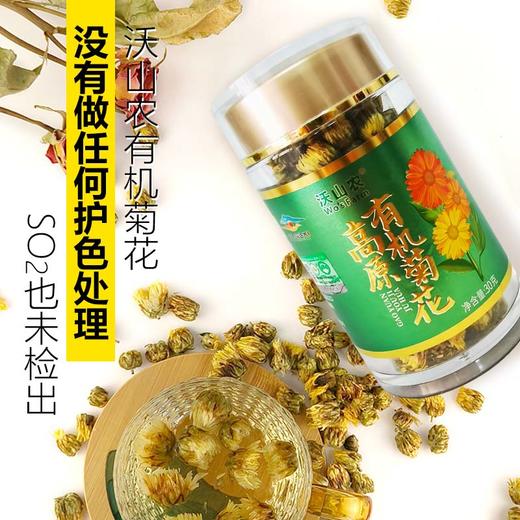 【有机菊花】6斤花朵仅出1斤干胎菊，人工采摘，颗颗精选，产自柴达木盆地有机种植，昆仑雪水灌溉，！【顺丰发货】 商品图2