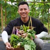 生态自选蔬菜箱（广州基地，京东特快） | 绿家自产 *ecological vegetable box  | In-House Production 商品缩略图0