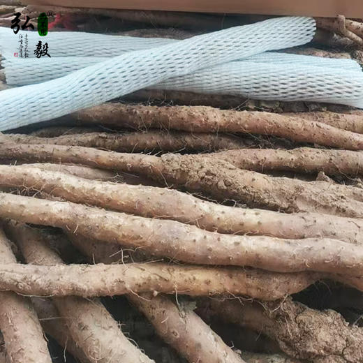 【弘毅六不用生态农场】六不用 温县铁棍山药  5斤/份 商品图2