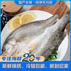 大海主义开背鲈鱼450g/条 商品缩略图0