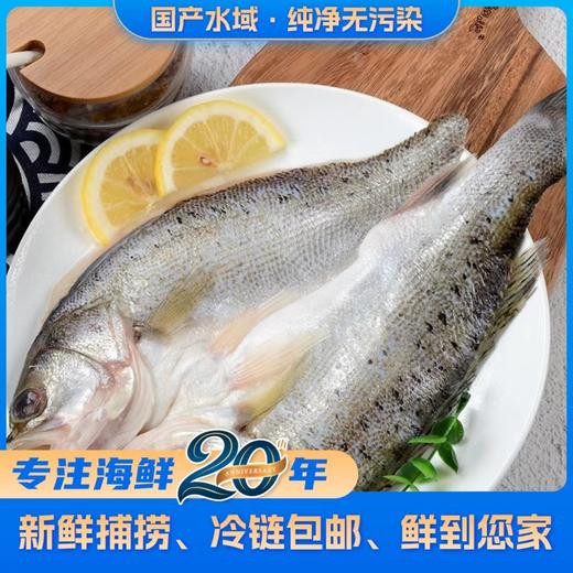 大海主义开背鲈鱼450g/条 商品图0