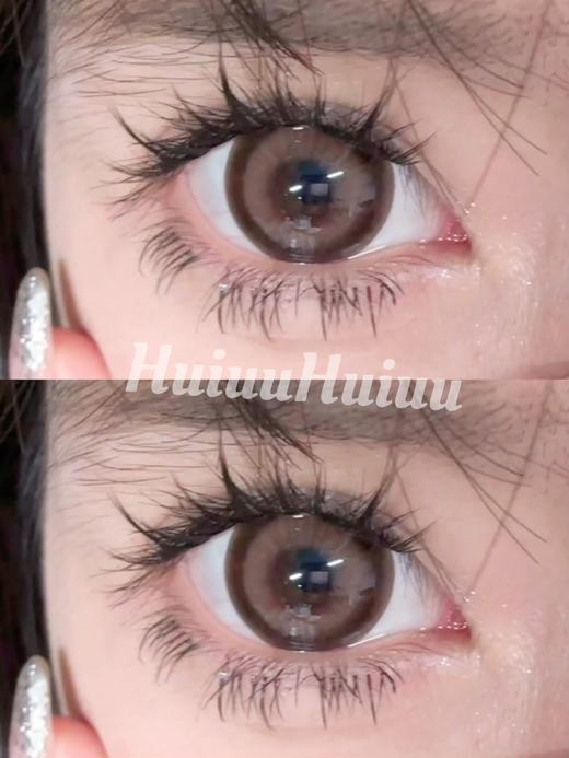 【大直径】Agenscolor-奶栗戴妃-14.5mm【年抛 0-1000度 无525/575】 商品图5