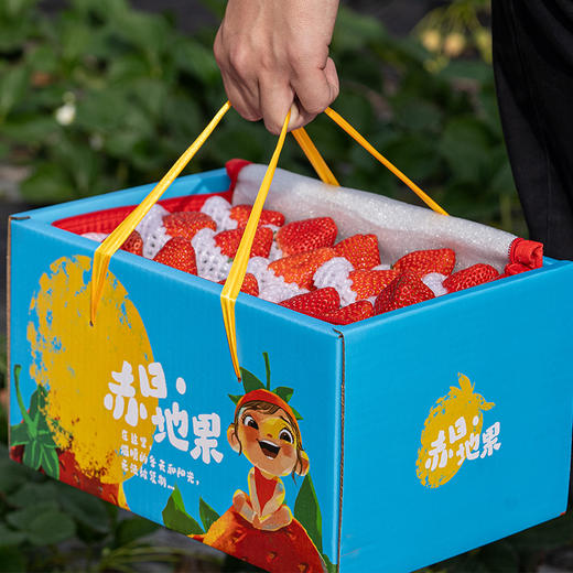 攀枝花露天草莓 （四川） 商品图0