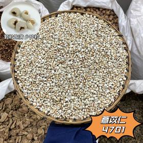 薏苡仁  煮粥糯小薏苡仁 薏仁米 苡仁米  家用食材
