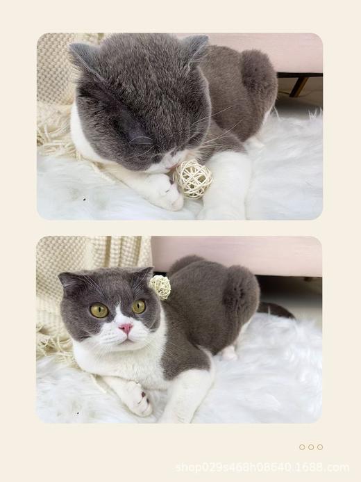 皮皮淘羽毛藤条球猫玩具 植物草编响铃双球1/套 商品图5