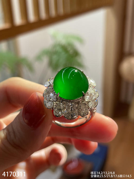 老坑玻璃种帝王绿蛋面戒指【4170311】具体价格i微信咨询 商品图0