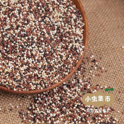 高原生态三色藜麦（2025年新收）1袋/2袋 | 合作农友生产，产自云南香格里拉，生产者：李忠青 &【公平贸易农人定价】 商品图2