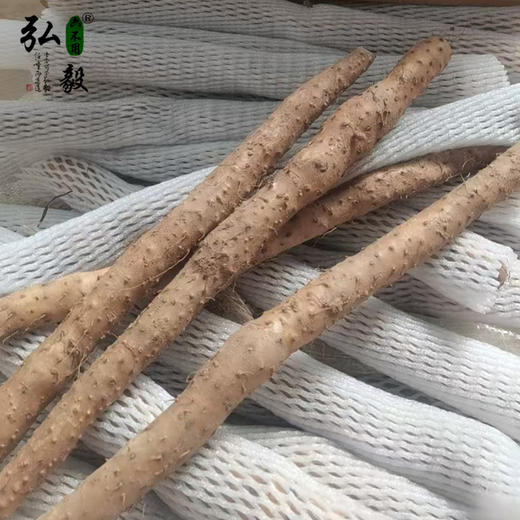 【弘毅六不用生态农场】六不用 温县铁棍山药  5斤/份 商品图3