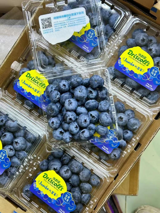 怡颗莓限量蓝莓王 商品图0