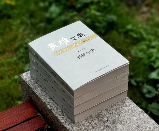 《戴维文集》，平装，16开，全四册，戴维著，湖南人民出版社2015年一版一印，定价232，售价78元。 商品图2