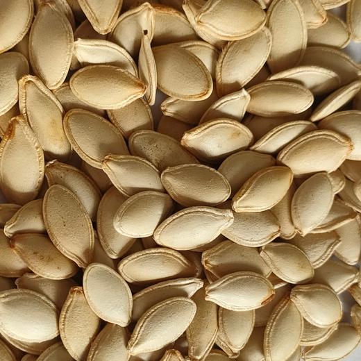 【严选】新疆葵花郎原味西葫芦籽500g/袋  （厂家直发） 商品图4