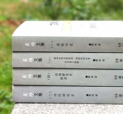 《戴维文集》，平装，16开，全四册，戴维著，湖南人民出版社2015年一版一印，定价232，售价78元。 商品图1