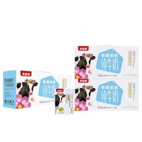 贝因美 雪域跑跑牛 家庭版3箱 200ml*10盒/箱