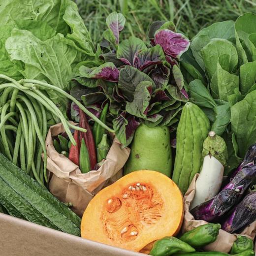 生态应季蔬菜盲盒｜Ecological  vegetable 商品图0