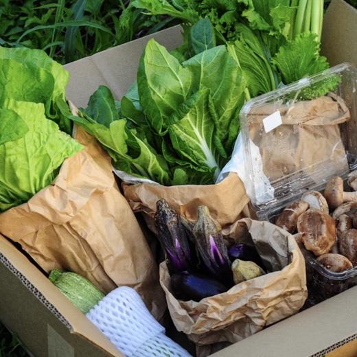 生态应季蔬菜盲盒｜Ecological  vegetable 商品图1
