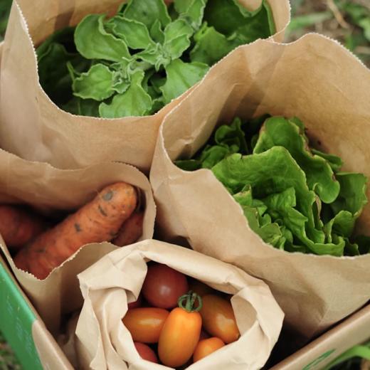 生态应季蔬菜盲盒｜Ecological  vegetable 商品图4