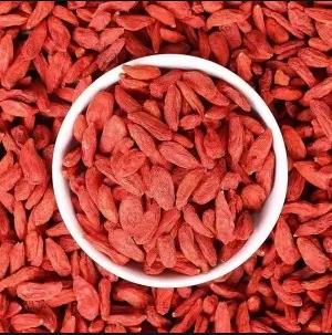 【中粮】百益兴新疆红枸杞256g/罐 商品图1