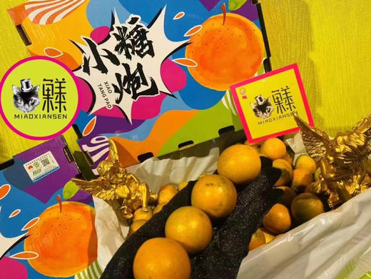 💝小糖炮【3A脆蜜金柑】2kg一箱 商品图5