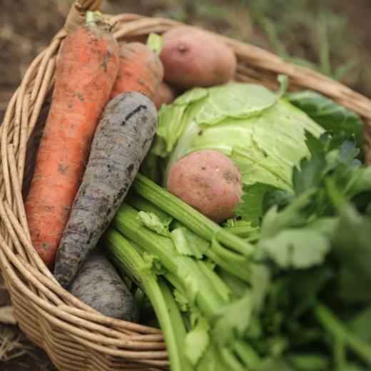 生态应季蔬菜盲盒｜Ecological  vegetable 商品图6
