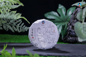  冲泡方法：2022《老曼撒》古树春茶