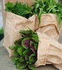 生态应季蔬菜盲盒｜Ecological  vegetable 商品缩略图2