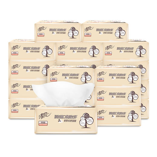 清风 萌宠系列亲肤抽纸24包箱 商品图6