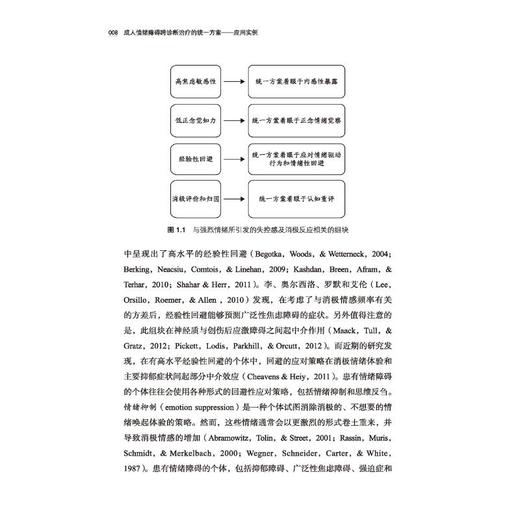 成人情绪障碍跨诊断治疗的统一方案 应用实例 商品图1