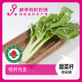 甜菜(叶用甜菜-莙荙菜)300g