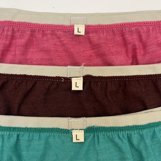 全新上架！超稀有！Icebreaker同源女士美利奴羊毛三角裤 商品图2