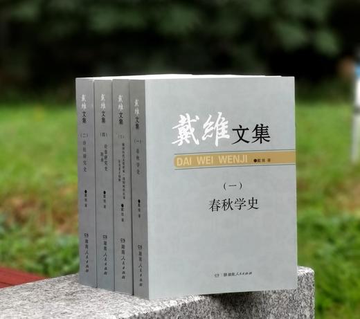 《戴维文集》，平装，16开，全四册，戴维著，湖南人民出版社2015年一版一印，定价232，售价78元。 商品图0