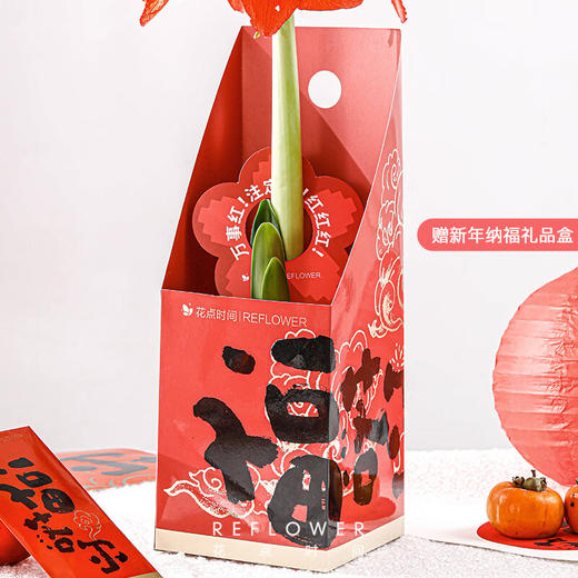 花点时间  朱顶红腊球（红色腊球）36-38cm 商品图4