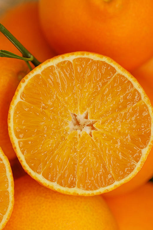 【爱媛果冻橙】 果冻口感 柑橘皇后 可以吸着吃的果冻橙 甜度13以下不采摘 5斤8斤CC 商品图3