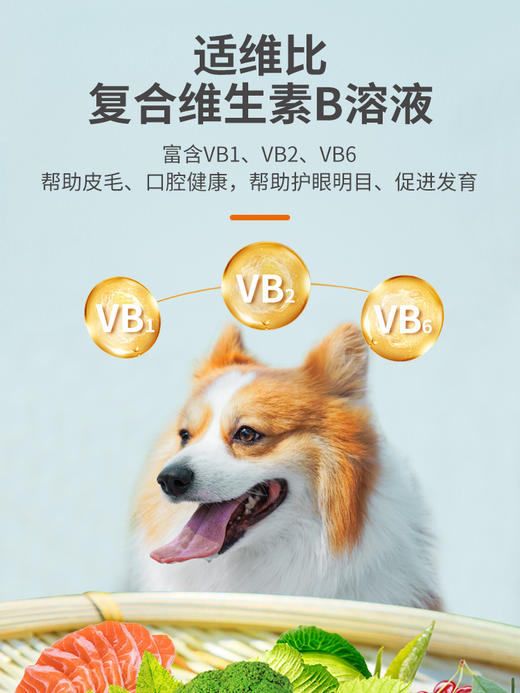 普安特猫咪复合维生素b溶液宠物狗狗皮肤病猫藓口炎溃疡趾间炎症 商品图2